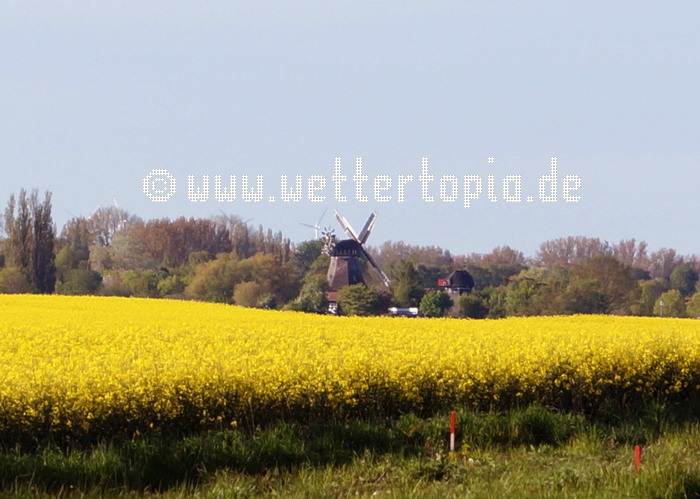 Blick auf die Lichtenhäger Mühle